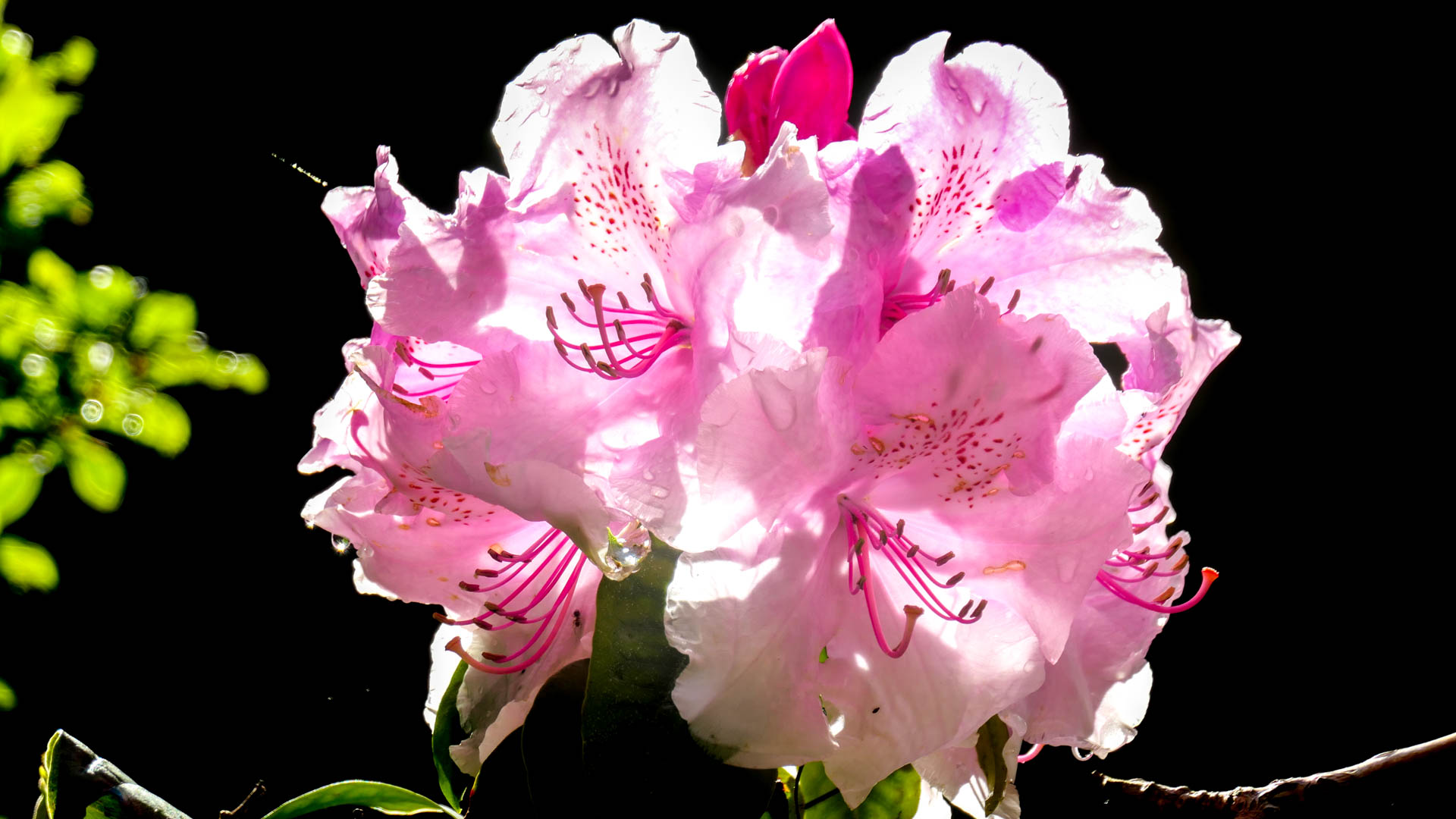 2019-05-11 14-09-34 BP